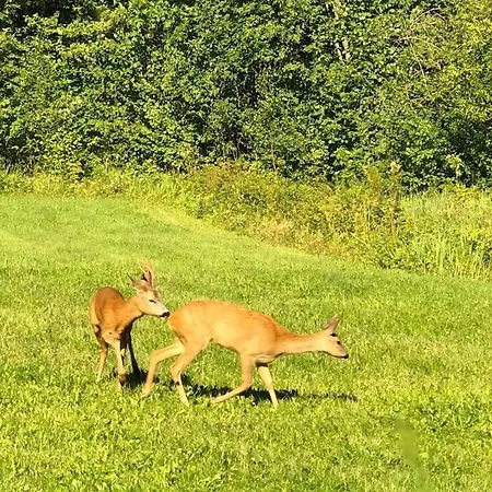 Part Of House, Sauna And Terrace Lägenhet