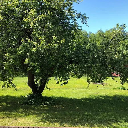 Lägenhet Part Of House, Sauna And Terrace Ranniku