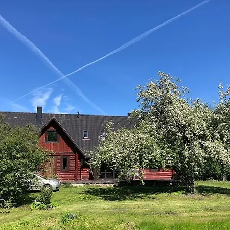 Part Of House, Sauna And Terrace