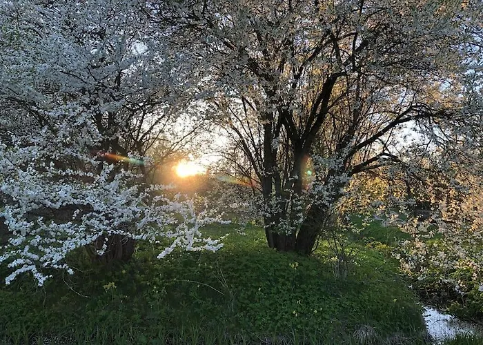 Part Of House, Sauna And Terrace *