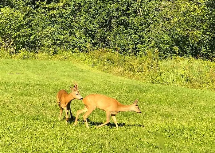 Part Of House, Sauna And Terrace Apartment