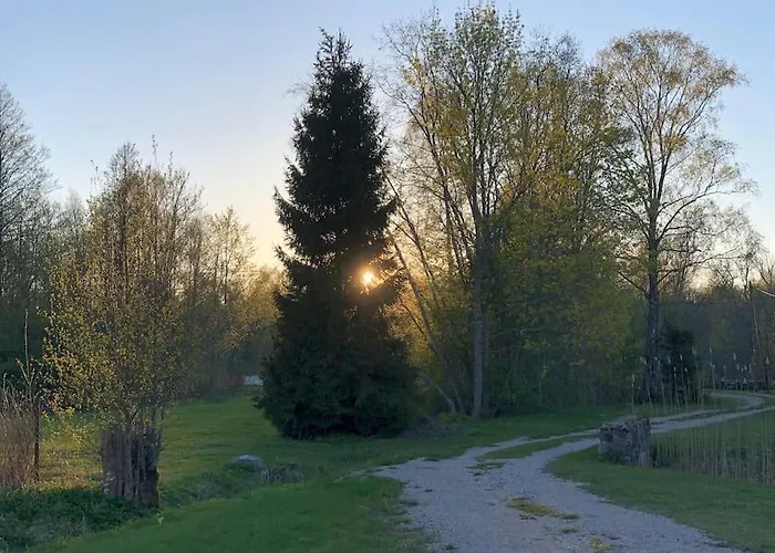 Apartment Part Of House, Sauna And Terrace