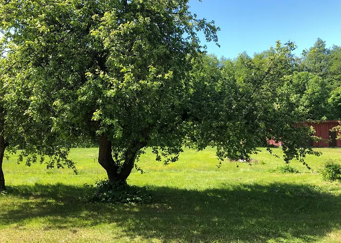 Apartment Part Of House, Sauna And Terrace Ranniku