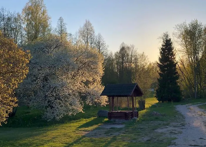 Part Of House, Sauna And Terrace Apartment Ranniku